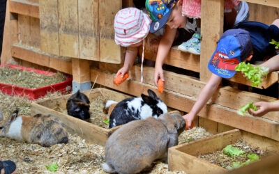 Erzieher-Springerkraft (w/m/d) für den Outdoorkindergarten auf dem Farmgelände gesucht