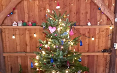 Weihnachtliche Unterstützung von Coca Cola