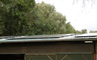 Energiewende auf der Kinder- und Jugendfarm Bremen e.V.