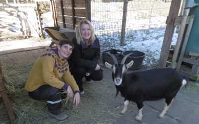 Spende der Firma Hella