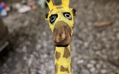 Am Montag, 02.09. bleibt die Farm wegen Aufräumarbeiten geschlossen