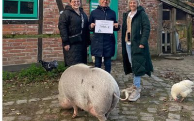 Herausragende Unterstützung