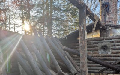 Wichtige Mitteilung zur aktuellen Lage der Farm