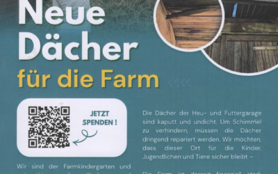 Neue Dächer für die Farm :)